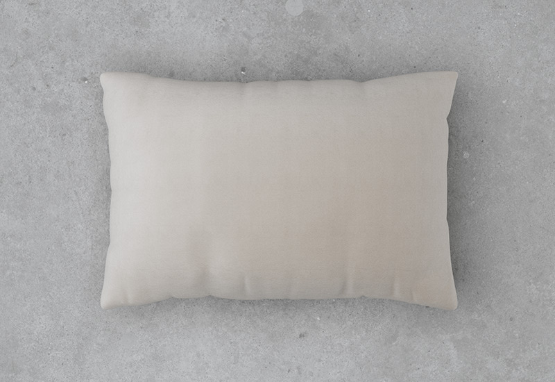 White store velvet cushions