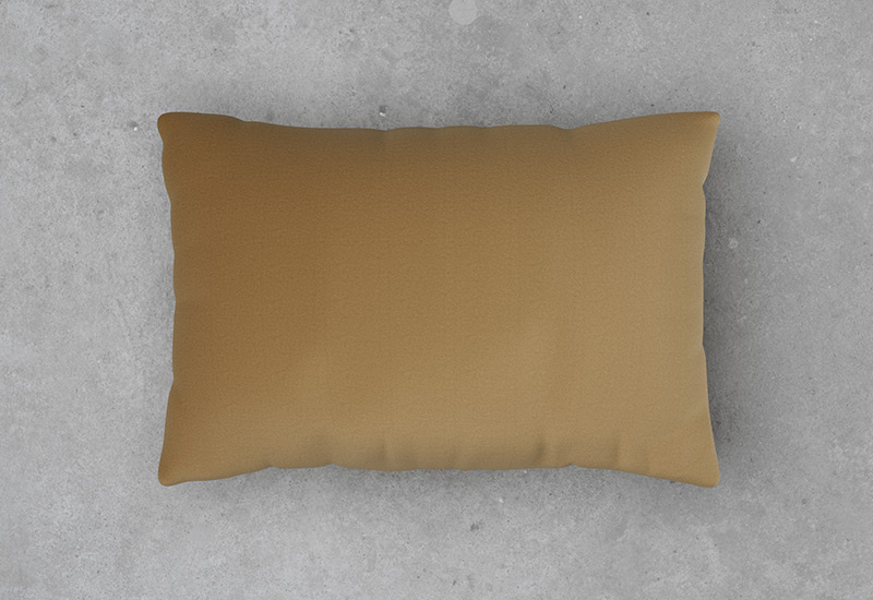 Luca Velvet Cushion in the group Blankets & Cushions / Cushions at Layered (FVLUCGO)